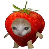 Gato the Berry
