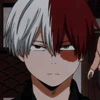 Shoto todoroki