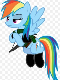 Soldier Rainbow Dash