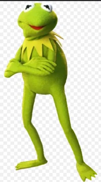 Kermit The Frog