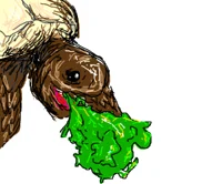 vomiting turtle