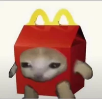 Gato the Mcdonal