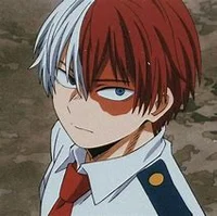 Shoto Todoroki