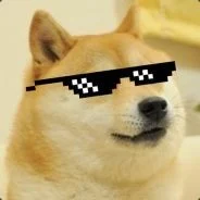 coolDogeboi