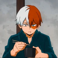 Shoto Todoroki 