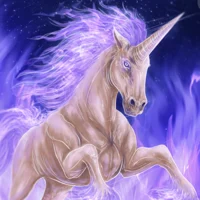 unicorn 