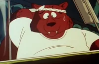 The reckless bear Tr