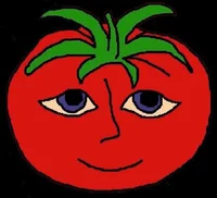 Mr Tomatos