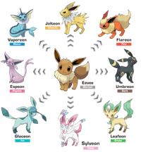 The eeveelutions