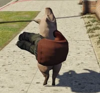 Normal Pig
