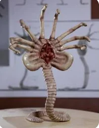 Face Hugger