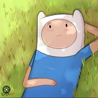 Finn the human 