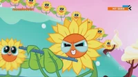 The Evil Sunflowers 