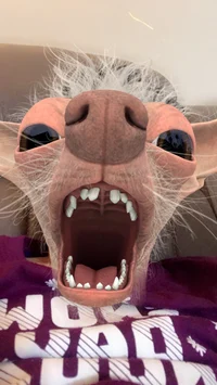 Dumb ass friends RPG