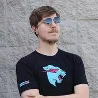 real mrbeast