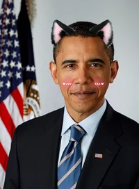 Femboy Obama