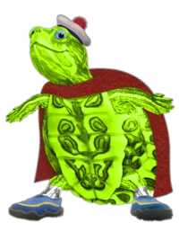 Turtle Tuck
