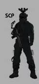 AFAAACC Soldier