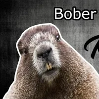 Polish Beaver