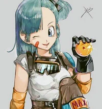 Fighter Bulma 