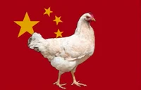 Chickity China
