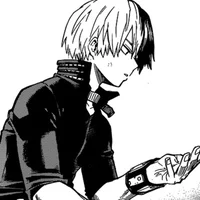 Shoto Todoroki