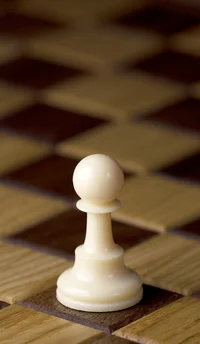 Magnus Carlsen