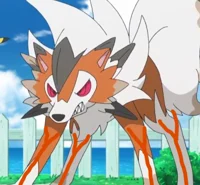 Buff Dusk Lycanroc