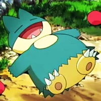 Munchlax