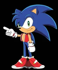 Sonic Jr
