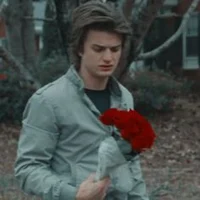 steve harrington 