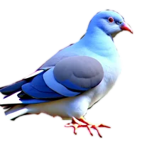 BluePigeon