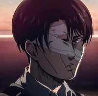 Levi Ackerman 