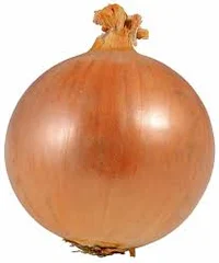 Onion