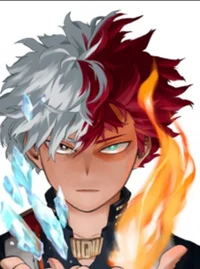 Todoroki 