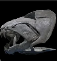 Dunkleosteus