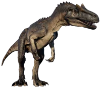 Nice allosaurus 