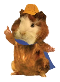 Linny The Guinea Pig