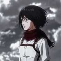 Mikasa