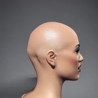 Harry hair collector