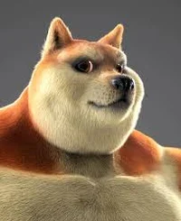 Chad Doge