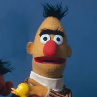 Bert