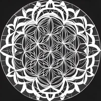The Flower Of Life