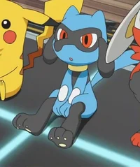 Riolu