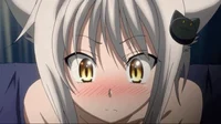 Your Tsundere Neko
