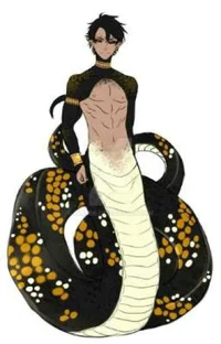 Male naga