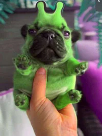 Super advanced alien