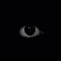 Blackfigure