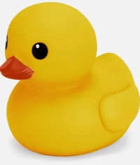 A Rubber Duck