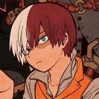 Shouto todorki